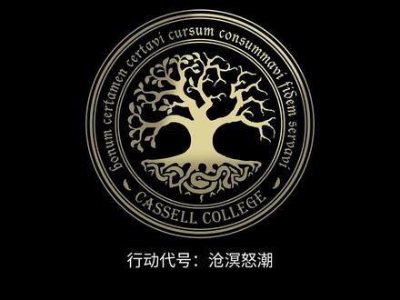 最新任务已下达,祝各位专员好运。#上热门🔥 #原创 #龙族