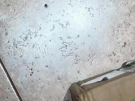 来自@叶小琪多肉馆 家2026年的第一单!满意的!大家的年后的第一单多肉都收到了吗?我不信你们过年期间没买!!!不可能忍得住🤣#多肉植物 #开箱 #叶小琪多肉馆 #虾饺多肉 #真实生活分享官