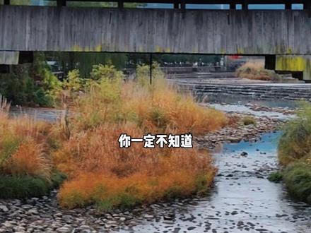 没想到剑来中的小镇真实存在,我也在这里寻到了老剑条的真实身份 #剑来#陈平安 #龙泉宝剑 #vlog #道笙壹