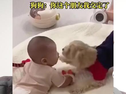任由小狗骑在孩子(婴儿)头上撒尿,并拍视频发到网络 #宠物狗 #宠物骑孩子头 #搞笑