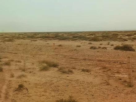 《玉芬啊玉芬你让彪哥好伤心》原唱3分钟完整版!#玉芬 #玉芬啊玉芬你让彪哥好伤心