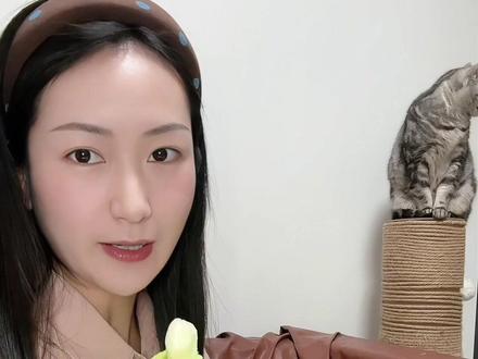 怎么训练你家小猫成为“萝卜纸巾”猫#萝卜纸巾猫 #大笨猫 #猫咪训练方法 #养猫经验分享