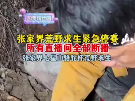 张家界七星山骆驼杯决赛停赛,8位选手下山了#张家界七星山骆驼杯 #老六荒野 #荒野求生 #国产抽象荒野求生由我来解说