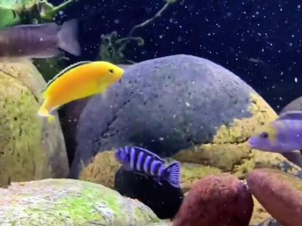 氧气泵噪音太大怎么办