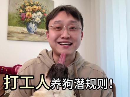 没错,巴哥就是打工人的挑选修狗 #巴哥#打工人养狗