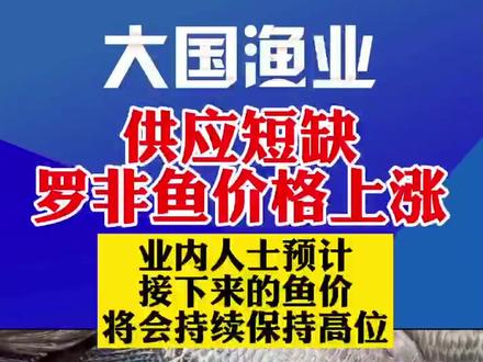 受供应短缺影响,罗非鱼塘头价格上涨#罗非鱼