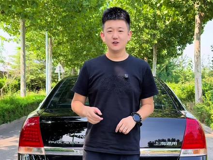 这是被忽略的一台好车。#林荫大道