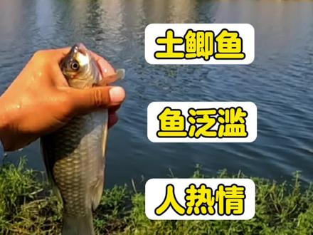 第一次钓这条河,都说是空军基地,我感觉野生土鲫鱼挺泛滥的。#原来钓鱼才是抖音运动顶流 #2023dou来钓鱼 #钓鱼 #抖音钓鱼人 #爱生活爱钓鱼