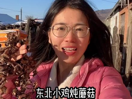 胡杨家版本的小鸡炖蘑菇~#小鸡炖榛蘑 #在家做美食 #宝藏乡村过大年 #东北菜