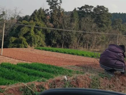 如何做到全国统一的#我要验牌 @抖音小助手