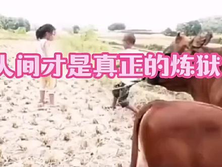 对于有些人来说,人间才是真正的地狱#人间百态皆是生活 #