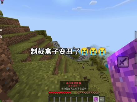 气死我了制裁盒子变丑了 #我的世界