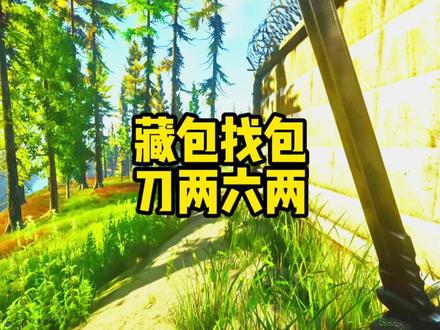 #逃离塔科夫 投保藏包刀两六两! #游戏日常