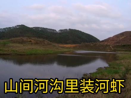 山里河沟的水质特别好,河虾特别多。我来装河虾 #乡野田间 #我的乡村生活