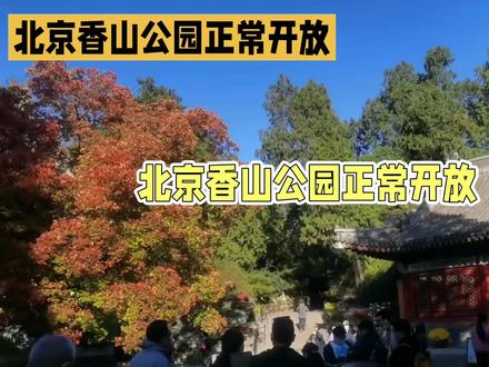 香山公园 香山公园坐落于北京市海淀区买卖街40号,占地188公顷,是一座兼具山林特色与皇家底蕴的AAAA级景区,评分达4.7分,口碑颇高。其开放时间为6:00-19:30(18:30停止入园),当前正常开放且人流量适中。
作为始建于元明清时期的皇家离宫,香山公园曾两度遭列强焚毁,1956年成为人民公园。园内留存着香山寺、洪光寺等历史遗迹,双清别墅更是红色教育基地,
自然景观方面,海拔575米的香炉峰(俗称“鬼见愁”)是登顶俯瞰京城的好去处,山上建有重阳阁等三座特色亭子;静翠湖三面环山,引双清泉水而成,湖畔设有对瀑亭、鱼乐台。园区森林覆盖率高达96%,享有“天然氧吧”的美誉。
这里四季风光各异:春季3月下旬至4月中旬,桃花、杏花绽放,桃花溪倒映花瓣如童话世界;夏季绿荫蔽日,气温比市区低3-5℃,是避暑徒步的佳地;秋季10月下旬至11月初,满山红叶似火,成为北京秋日标志性景观;冬季12月至2月,银装素裹,雪景静谧,适合拍摄。
交通上,乘318路、360路公交可直达东门;地铁巴沟站转西郊线小火车,沿途风景宜人;自驾需早到预约停车位,周边车位紧张。游玩路线有一日速览(东门→静翠湖→双清别墅→香炉峰,缆车单程80元可俯瞰颐和园)和深度徒步(东门→勤政殿→玉华岫→香雾窟→香炉峰,约1400级台阶,需3-4小时)。
门票10元,需通过“香山公园服务号”提前预约。餐饮可选择香山饭店的宫廷菜(豌豆黄、烤鸭必点)或红叶小吃的炸酱面。游玩时建议穿舒适运动鞋,自带水和零食(园内小卖部价格较高),留意天气,晴天拍摄红叶效果最佳。#旅行碎片 #旅行vlog #旅行大玩家 #旅行推荐官 #旅行