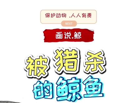 #知识合伙人 被猎杀的鲸鱼!最温顺的鲸鱼,成了最容易猎杀鲸鱼#兴趣才艺 #萌知计划 #科普知识 @抖音青少年