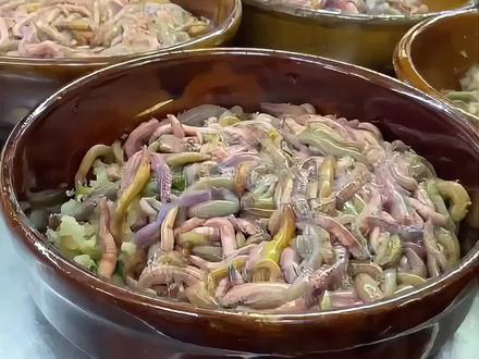 分享11种能吃的虫子,你吃过几种?#虫 #美食 #美食分享