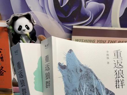 《重返狼群》版本太多,到底怎么选,怎么区分是不是正版,李微漪老师到底出了哪些版,一条视频给大家讲清楚,少踩坑,不纠结!#重返狼群 #重返狼群背后的故事 #李微漪 #李微漪和格林的故事 #徐哈哈陪你读书