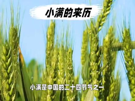 小满是怎么来的?竟然是古代的一个神奇故事#小满 #历史故事 #小满里的中国哲学