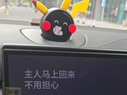 人不如狗系列#宠物模式 #蔚来es6