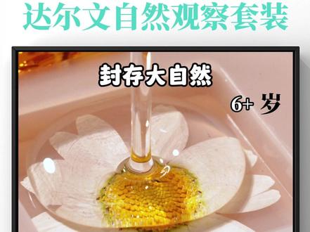 六一送孩子一套自然滴胶玩具吧 10多种自然动植物标本,7种不同DIY玩法,让孩子认识自然的奥秘,特别适合送给爱动手的小朋友当六一礼物#亲子 #手工