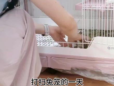 牛马铲屎官打扫兔笼的一天#达洋兔笼 #兔子#铲屎官的乐趣