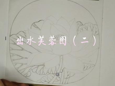 【2】工笔画无删减 无加速零基础跟画教程《出水芙蓉图》#画画 #国画 #一起学画画 #教学 #传统文化