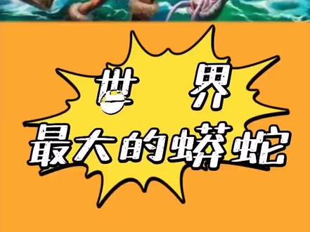 世界最大的蟒蛇你知道吗?@全民任务小助手 @巨量千川 #在抖音看世界 #动物世界 #爬行动物