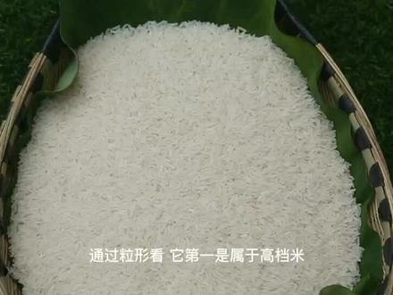 世界好香稻,中国野香优