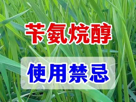 苄氨烷醇使用禁忌,四用四不用到底是什么? #苄氨烷醇#小麦种植#膨大剂#农业种植#瓜果蔬菜