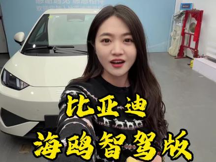 一条视频带你们如何只花7万买到高阶智能驾驶车,比亚迪海鸥智驾版试过才知道!#比亚迪海鸥