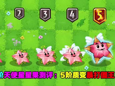 1-5阶天使星星果测评:1阶刮痧,5阶暴打僵王! #植物大战僵尸2