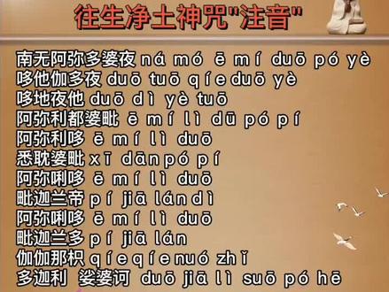 往生净土神咒……#情感 #智慧人生