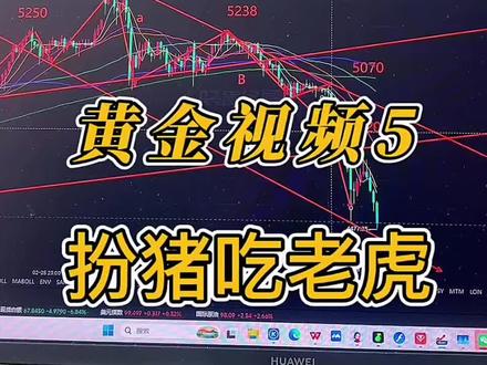 主力是如何一路“扮猪吃老虎的”#黄金 #金价 #金价行情 #白银 #沪金