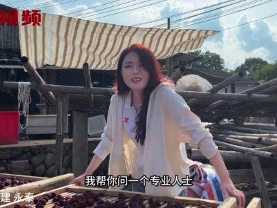 太阳越大他们越高兴,来永泰看李干是如何制作的