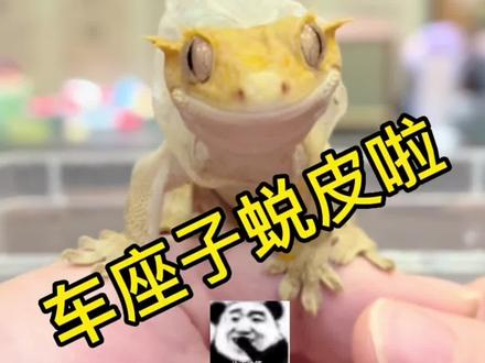 车座子的五指袜~贼上头~