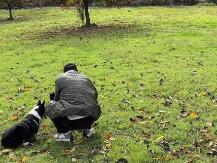 野外遇到熊装死跟扔蜂蜜哪个跟管用呢?#蓝战非 #露营 #徒步