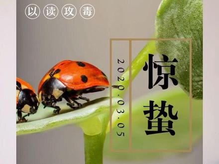 #惊蛰 到了,那么惊蛰是什么意思呢?#文学 #科普 #知识 #冷知识 #涨知识 #二十四节气