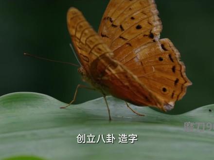 讲故事:从亚当夏娃开始;创造;目的;争斗;灾难;新的开始