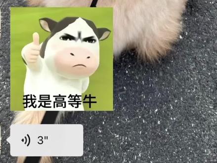 俺是来自河南的高地牛🐮#河南话 #表情包配音 #翻拍 #高地牛 #语音