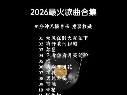 2026最火歌曲合集#热门音乐🔥火爆全网 #音乐合集分享 #抖音热歌推荐🔥 #大风在刮大雨在下
