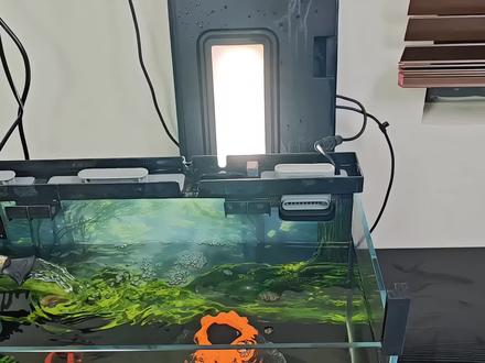 如果你的智能鱼缸水泵吸不上水,可能就是坏了,直接给他换上这个新水泵就可以了,原厂配件,非常贴合#智能鱼缸水泵 #智能鱼缸平替水泵 #智能鱼缸配件 #智能鱼缸改造 #养鱼日记