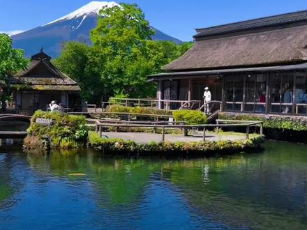 运城直飞名古屋,自由行攻略#运城 #旅游