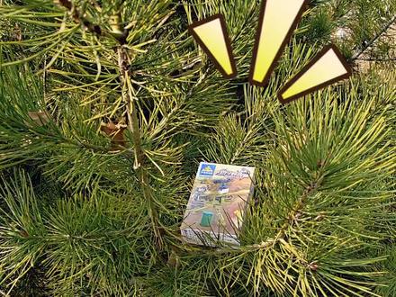 国产积木拼搭:狼牙野战队#特种兵 #军事人仔 #积木 #乐高 #军事玩具