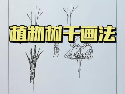 零基础学钢笔画,植物树干的画法。#画画 #手绘 #速写 #钢笔画 #设计手绘