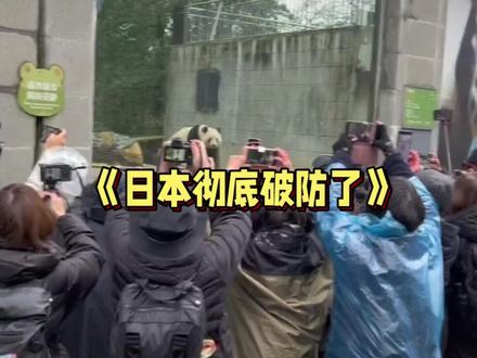 日本人集体送别熊猫?这次彻底破防了 #涨知识 #科普 #大熊猫 #动物 #万万没想到