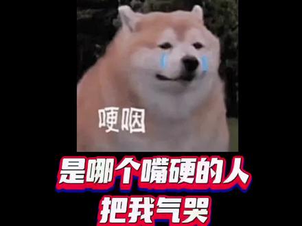 (胆小勿看,声音调小,有尖叫)看到steam上了个新游戏,然后我就喊了大侄子来玩,直接就是一个气哭!boomen也是一个让你没有朋友的“好游戏”,反正就是大难临头各自飞,你去冒险我加油!#steam游戏 #游戏 #恐怖游戏 #Boomen #一起玩游戏