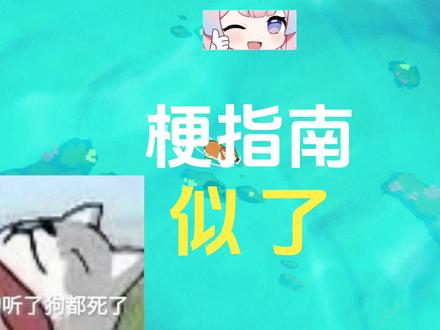 似了是什么意思【梗指南】#似了 #梗指南