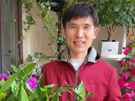 富贵竹究竟怎么养? #养花小知识 #种植小技巧 #分享养护经验