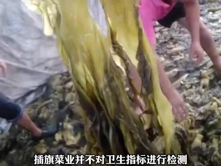 315晚会曝光!你吃的老坛酸菜可能是光脚踩出来的